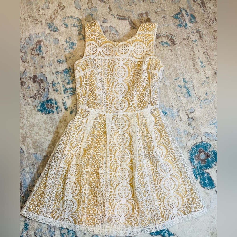 Esley by Anthropologie Lace Dress